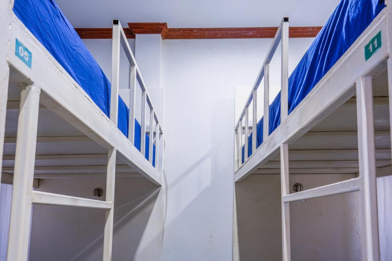 Escape Divers - Jungle Hostel And Dive Centre Тао Екстер'єр фото